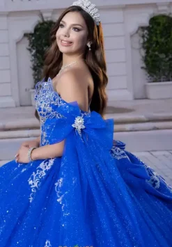 Vizcaya Quinceanera 4080028