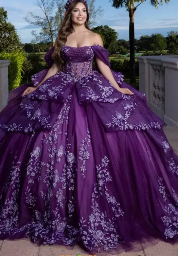 Vizcaya Quinceanera 4080027