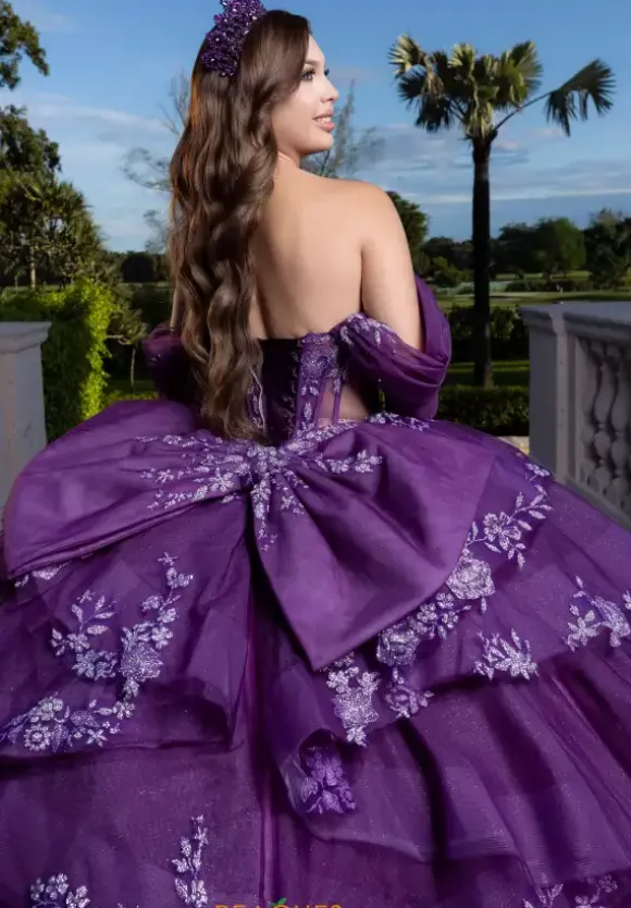 Vizcaya Quinceanera 4080027