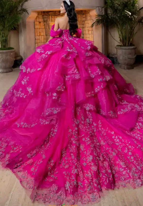 Vizcaya Quinceanera 4080027