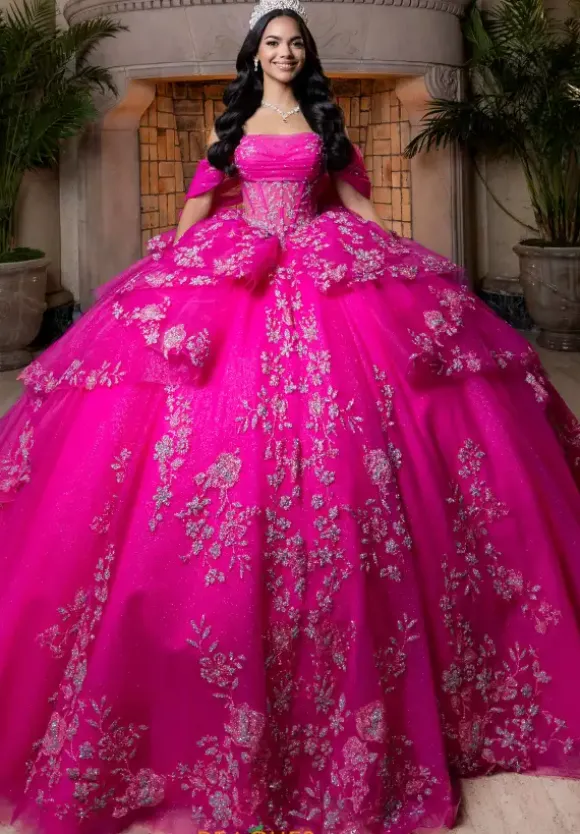 Vizcaya Quinceanera 4080027