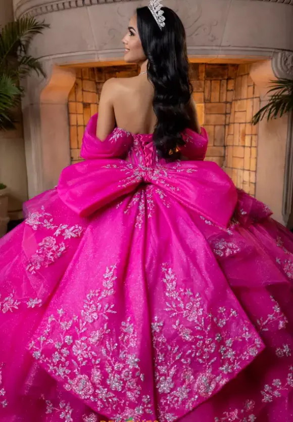 Vizcaya Quinceanera 4080027