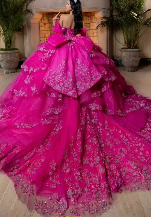 Vizcaya Quinceanera 4080027