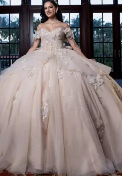 Vizcaya Quinceanera 4080017