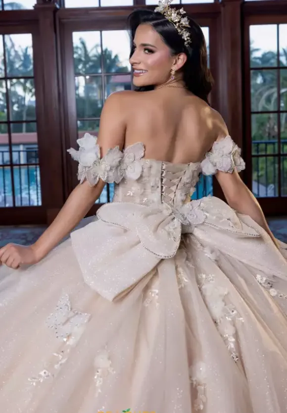 Vizcaya Quinceanera 4080017