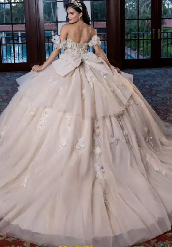 Vizcaya Quinceanera 4080017