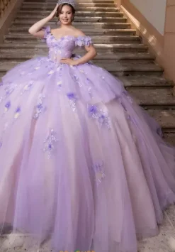Vizcaya Quinceanera 4080017
