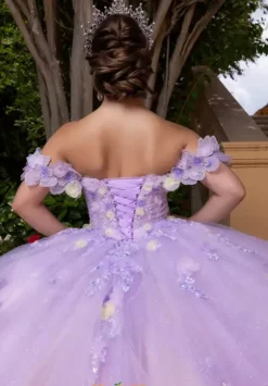 Vizcaya Quinceanera 4080017