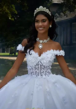 Vizcaya Quinceanera 89456
