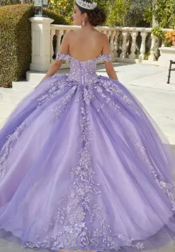 Vizcaya Quinceanera 34091