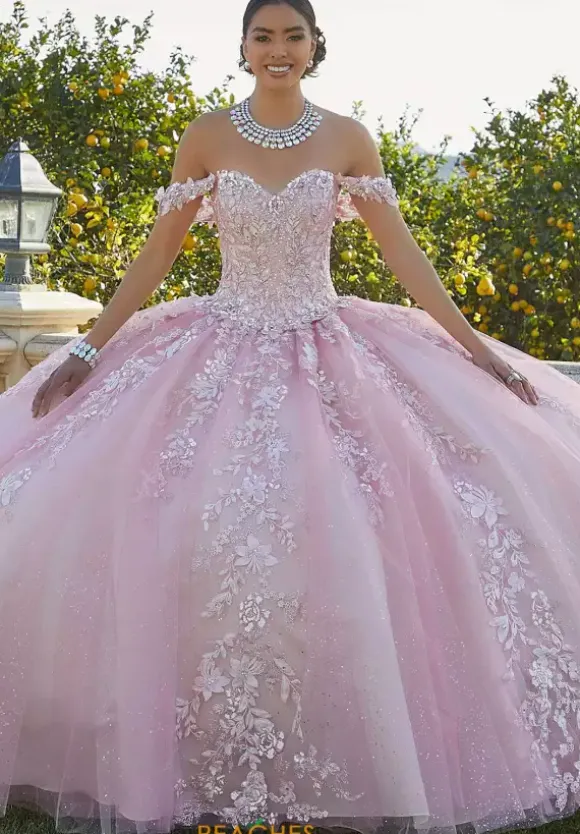 Vizcaya Quinceanera 34091