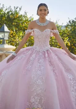 Vizcaya Quinceanera 34091