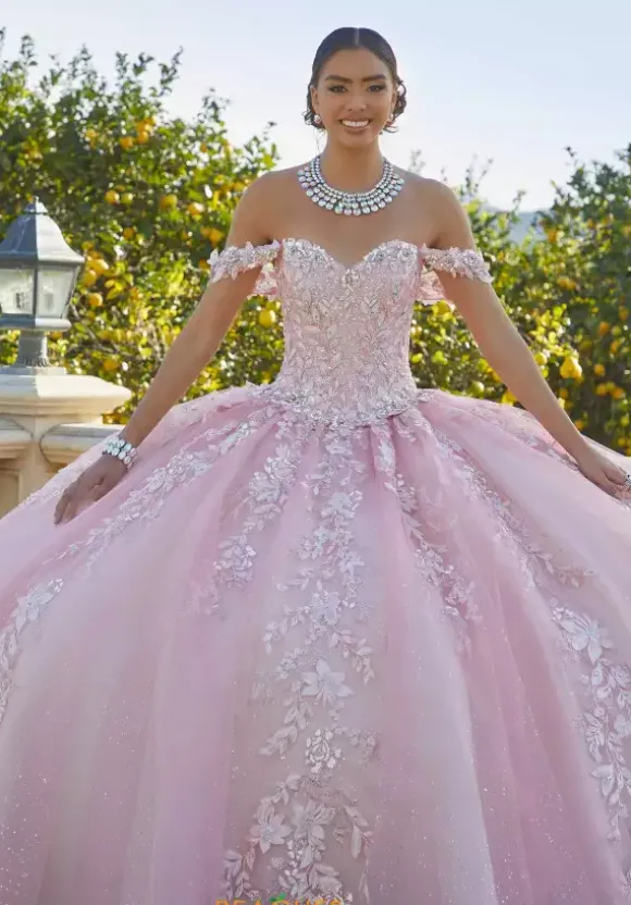 Vizcaya Quinceanera 34091