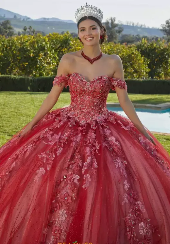 Vizcaya Quinceanera 34091