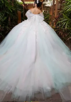 Vizcaya Quinceanera 4080001