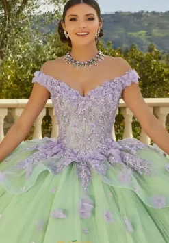 Vizcaya Quinceanera 89437