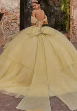 Vizcaya Quinceanera 89554