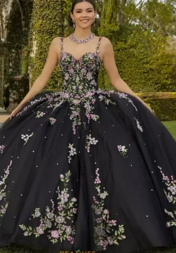 Vizcaya Quinceanera 89435