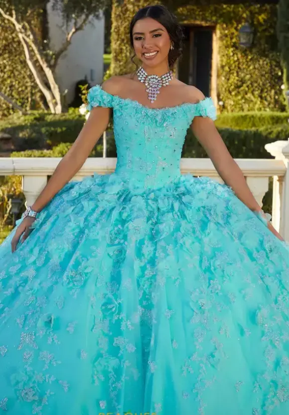 Vizcaya Quinceanera 89425
