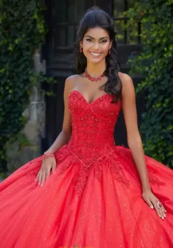 Vizcaya Quinceanera 89451