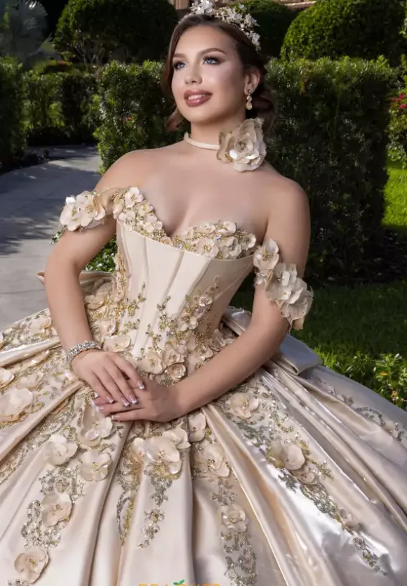 Vizcaya Quinceanera 4080033