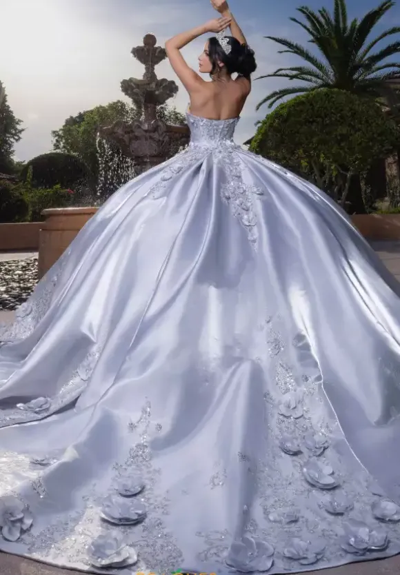 Vizcaya Quinceanera 4080033