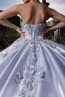 Vizcaya Quinceanera 4080033