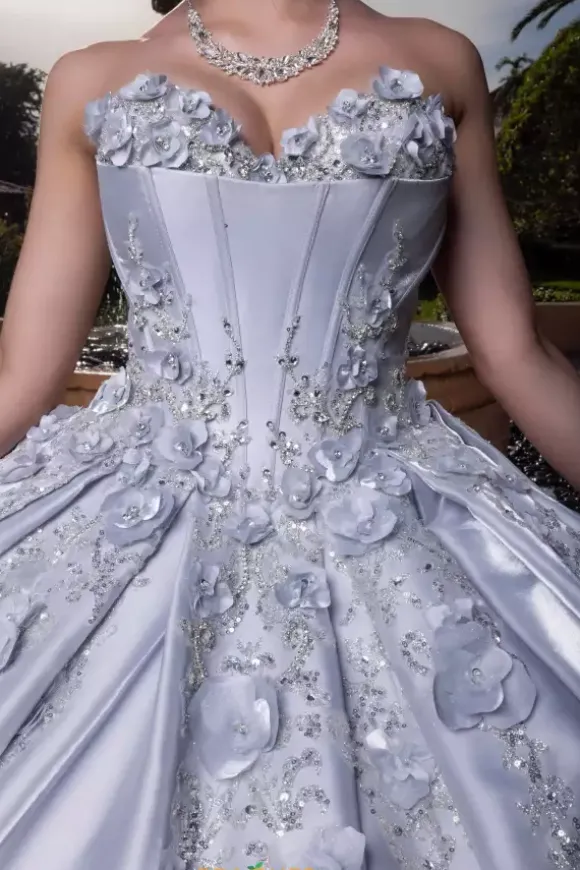 Vizcaya Quinceanera 4080033