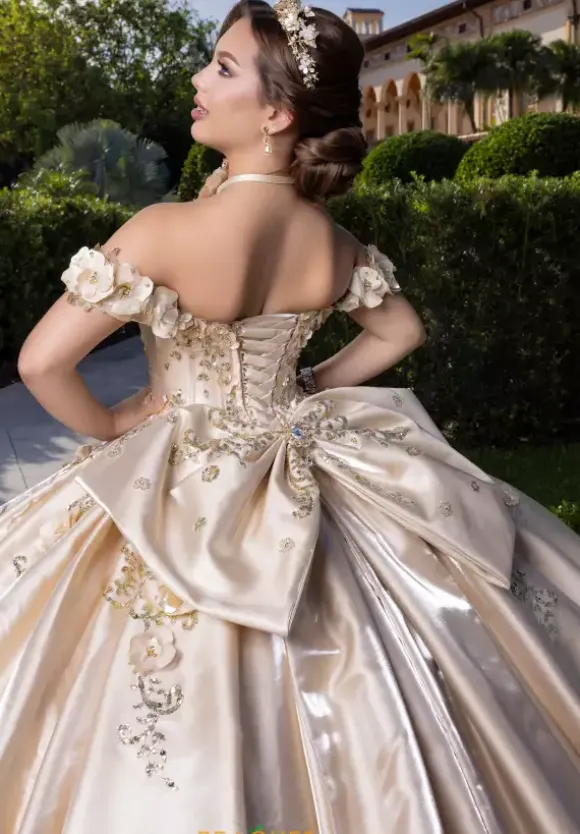 Vizcaya Quinceanera 4080033