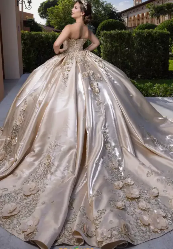 Vizcaya Quinceanera 4080033