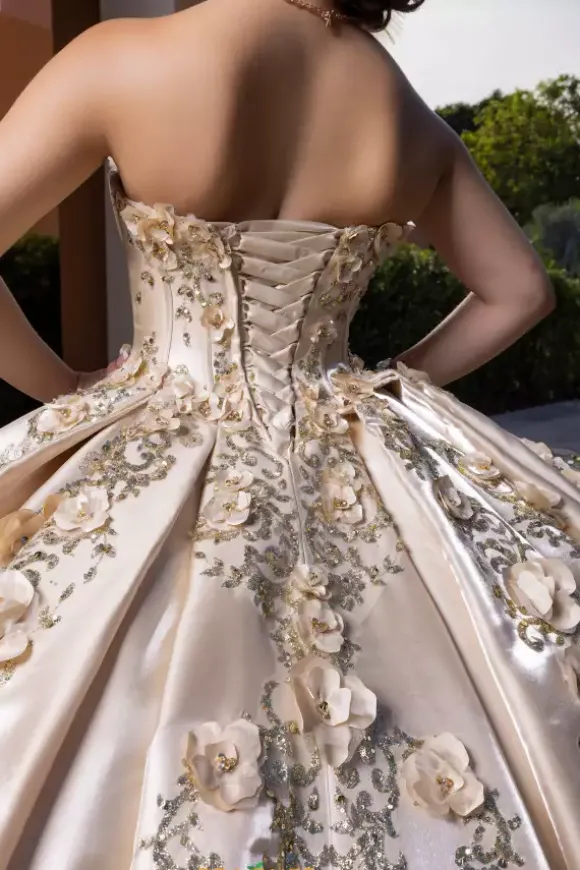 Vizcaya Quinceanera 4080033