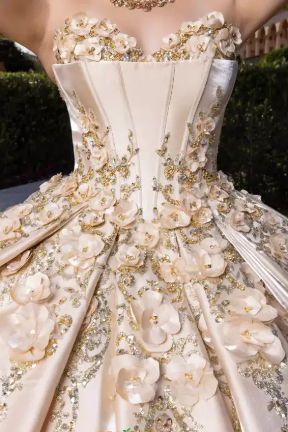 Vizcaya Quinceanera 4080033