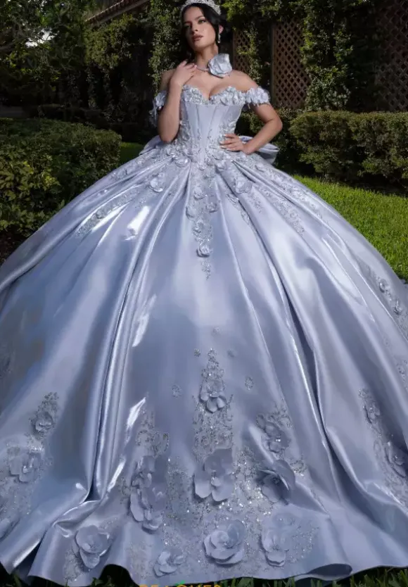 Vizcaya Quinceanera 4080033