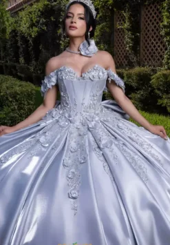 Vizcaya Quinceanera 4080033
