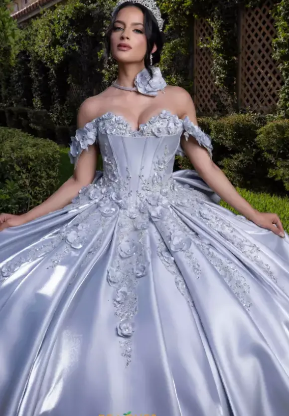 Vizcaya Quinceanera 4080033