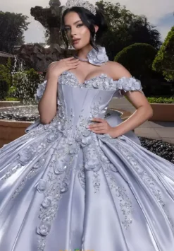 Vizcaya Quinceanera 4080033