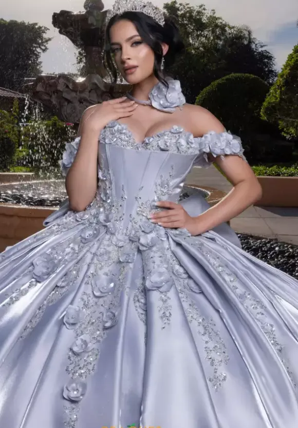 Vizcaya Quinceanera 4080033