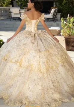 Vizcaya Quinceanera 89431