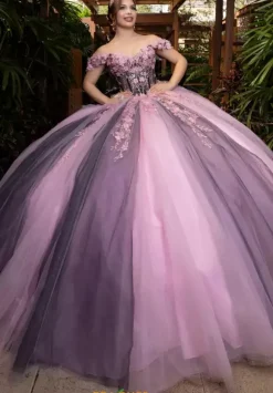 Vizcaya Quinceanera 4080018