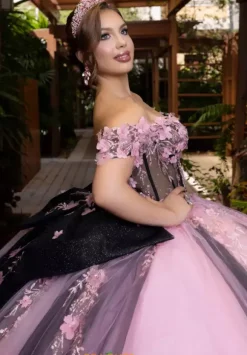 Vizcaya Quinceanera 4080018