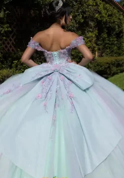 Vizcaya Quinceanera 4080018