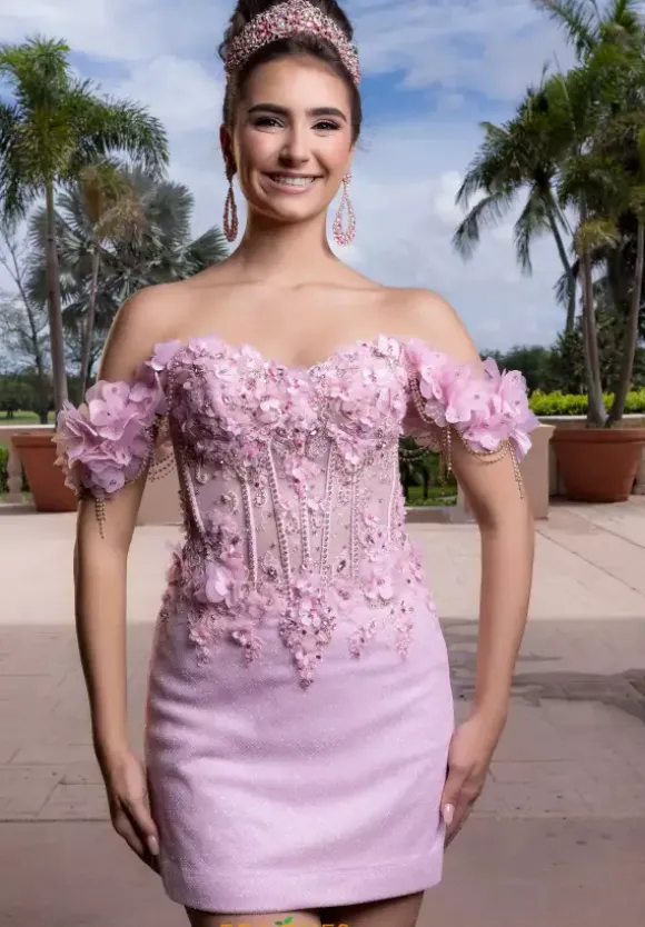 Vizcaya Quinceanera 4080024