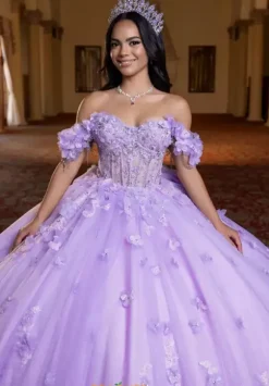 Vizcaya Quinceanera 4080024
