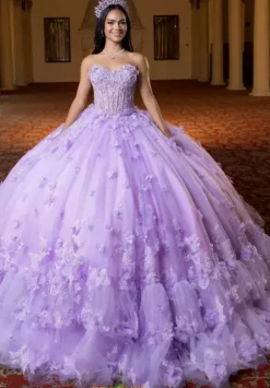 Vizcaya Quinceanera 4080024