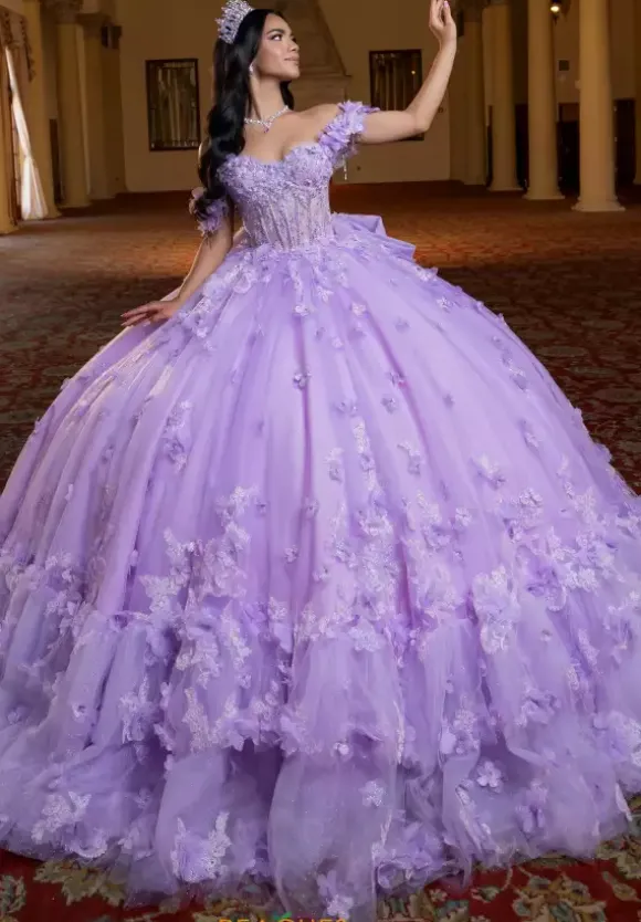 Vizcaya Quinceanera 4080024