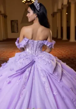 Vizcaya Quinceanera 4080024