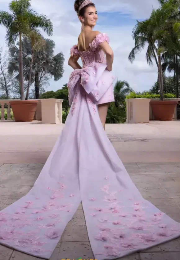 Vizcaya Quinceanera 4080024