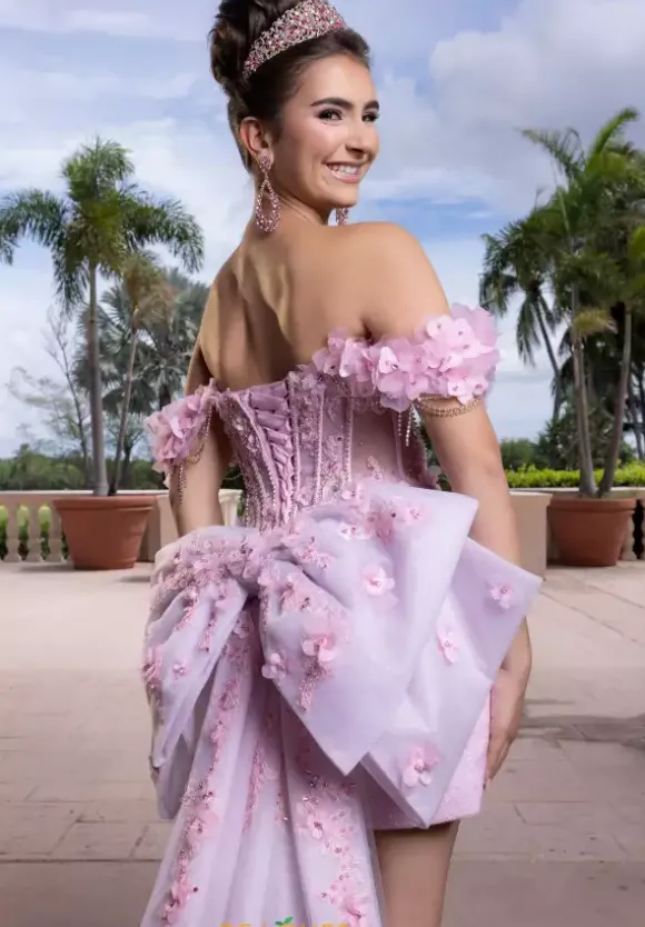 Vizcaya Quinceanera 4080024