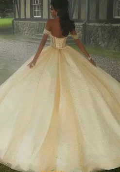 Vizcaya Quinceanera 60194