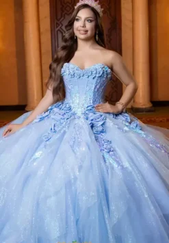 Vizcaya Quinceanera 4080020